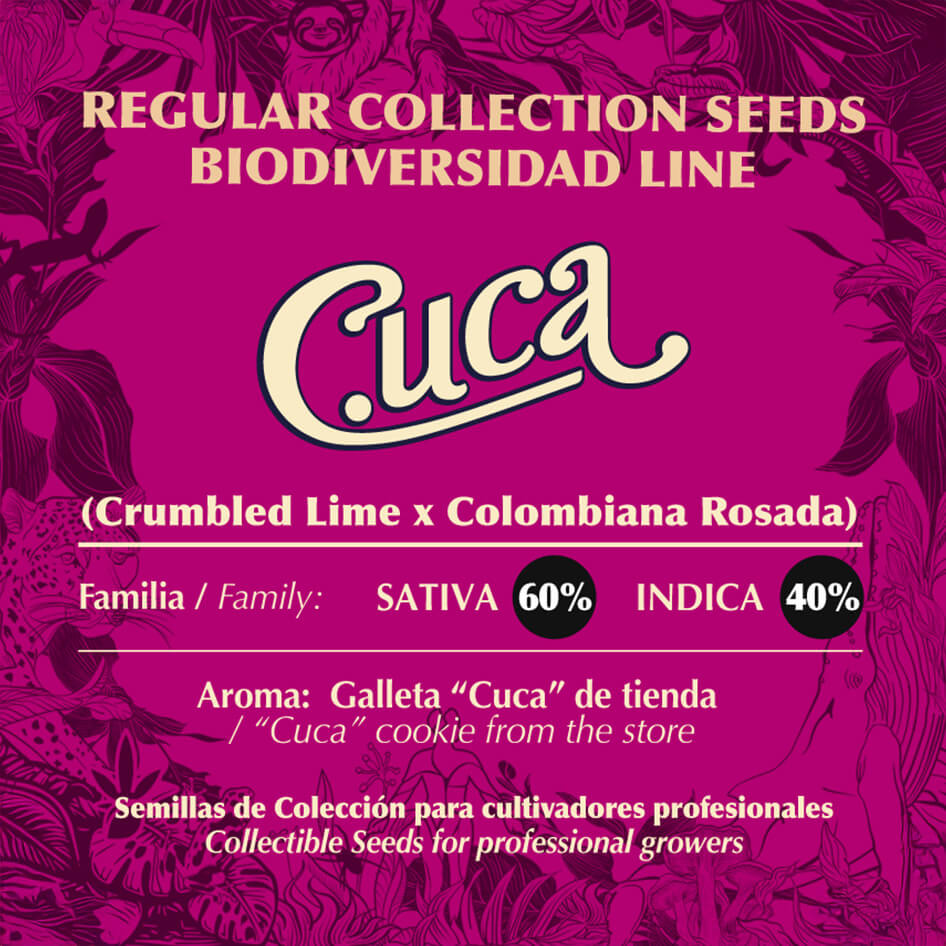 Cuca
