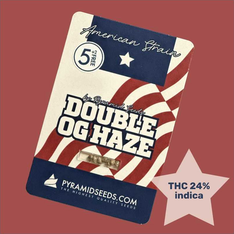 Double OG Haze