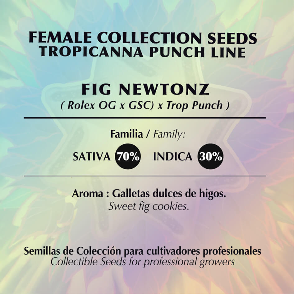 Fig Newtonz