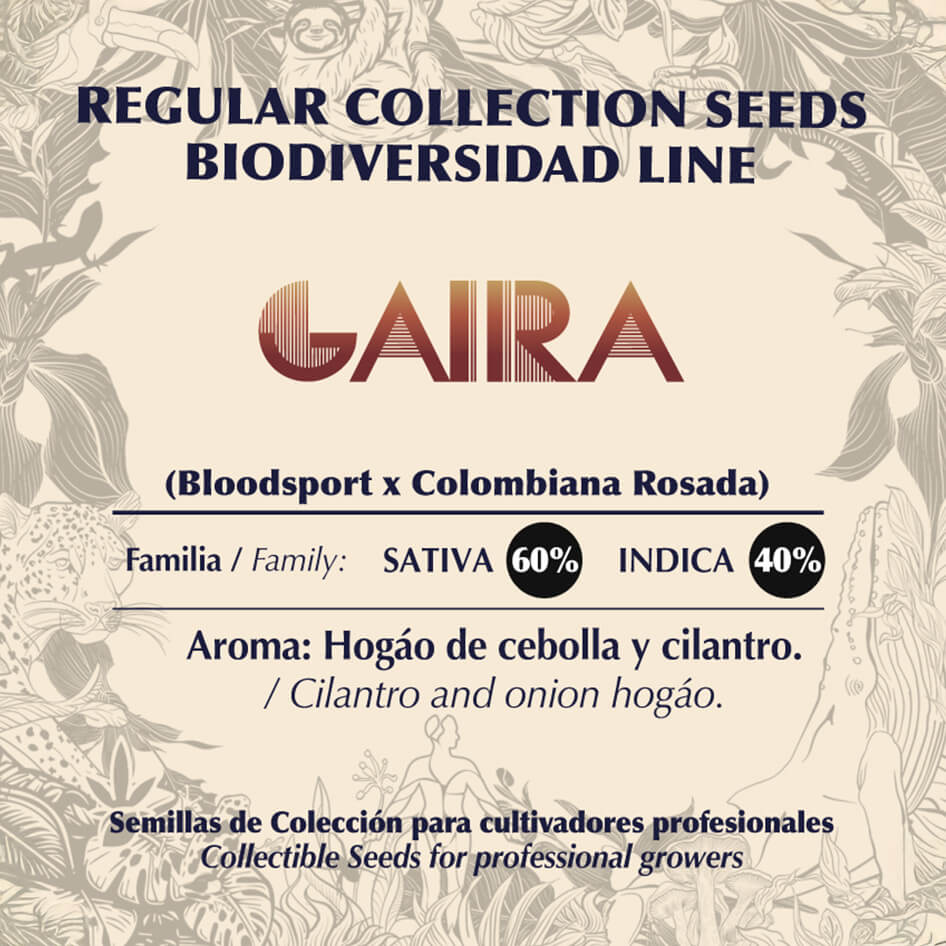 Gaira