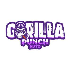 Gorilla Punch Auto