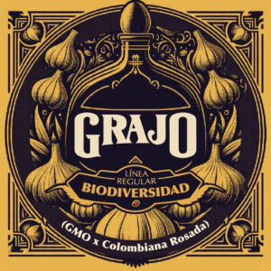 Grajo