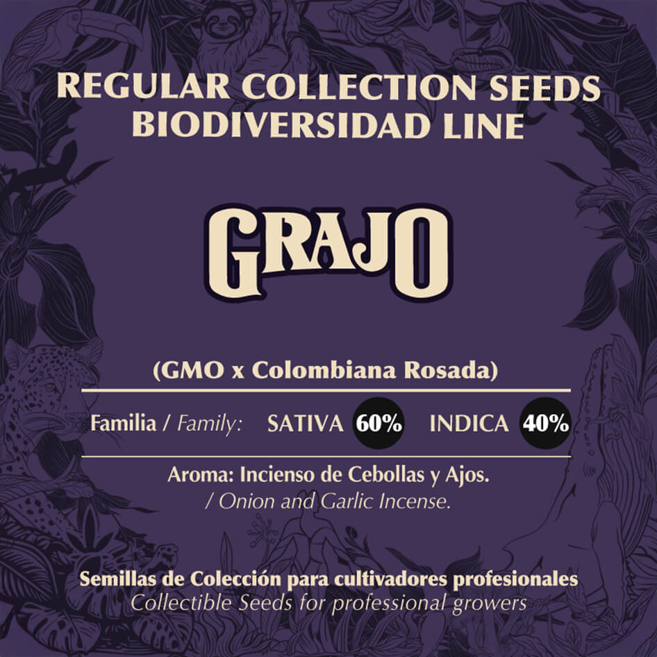 Grajo