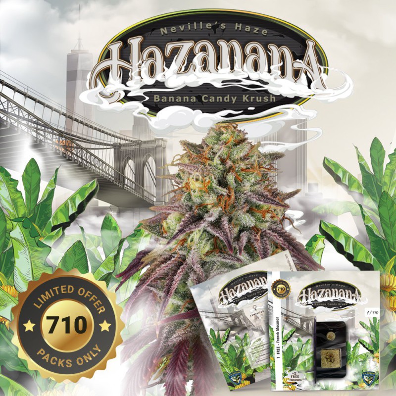 Hazanana