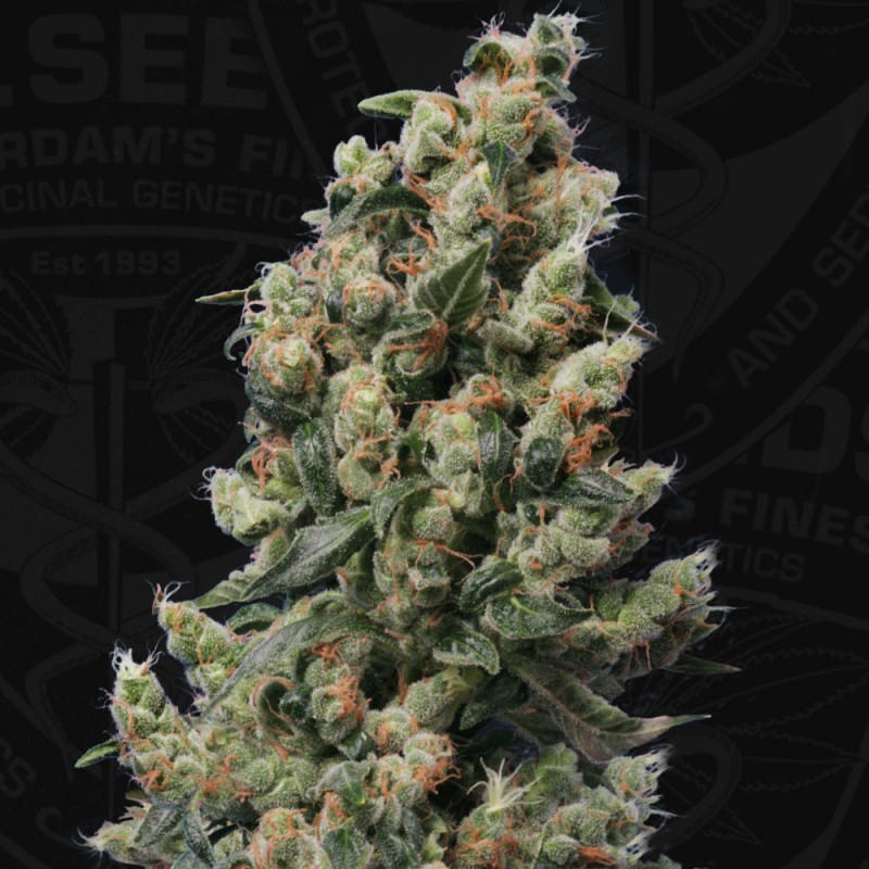 Kushage™