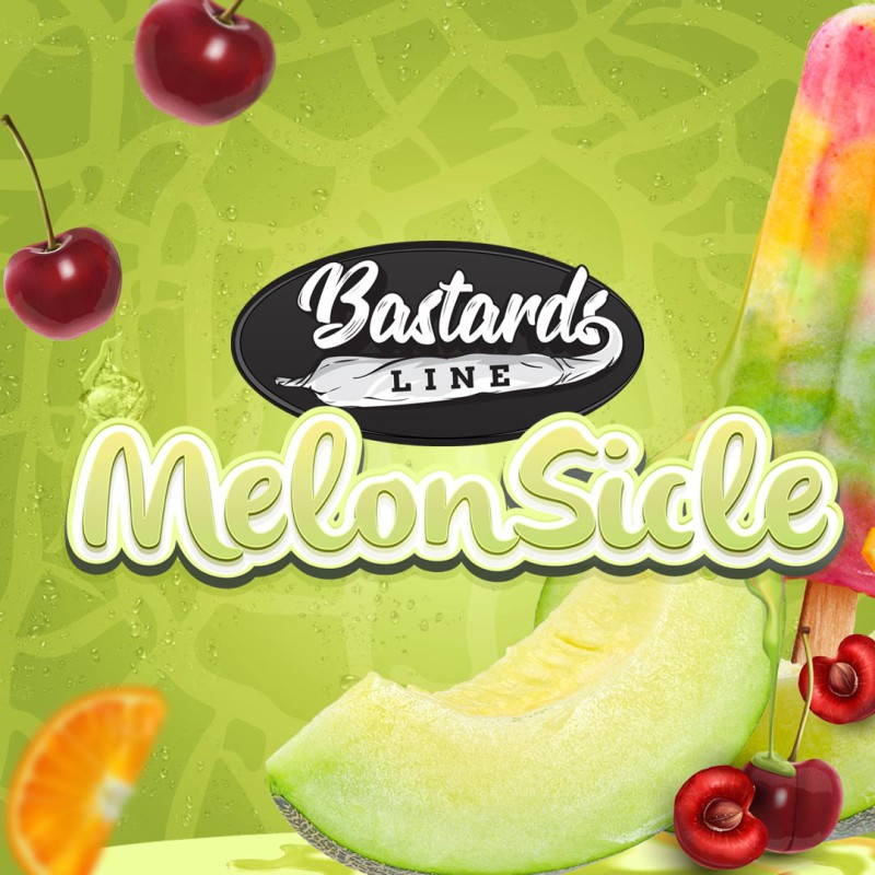 MelonSicle