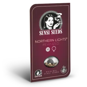 Northern Lights