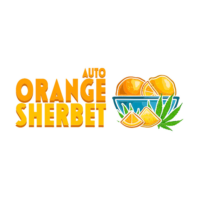 Orange Sherbet
