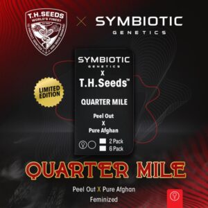 Quarter Mile