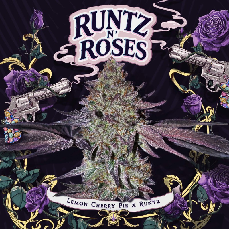 Runtz N' Roses
