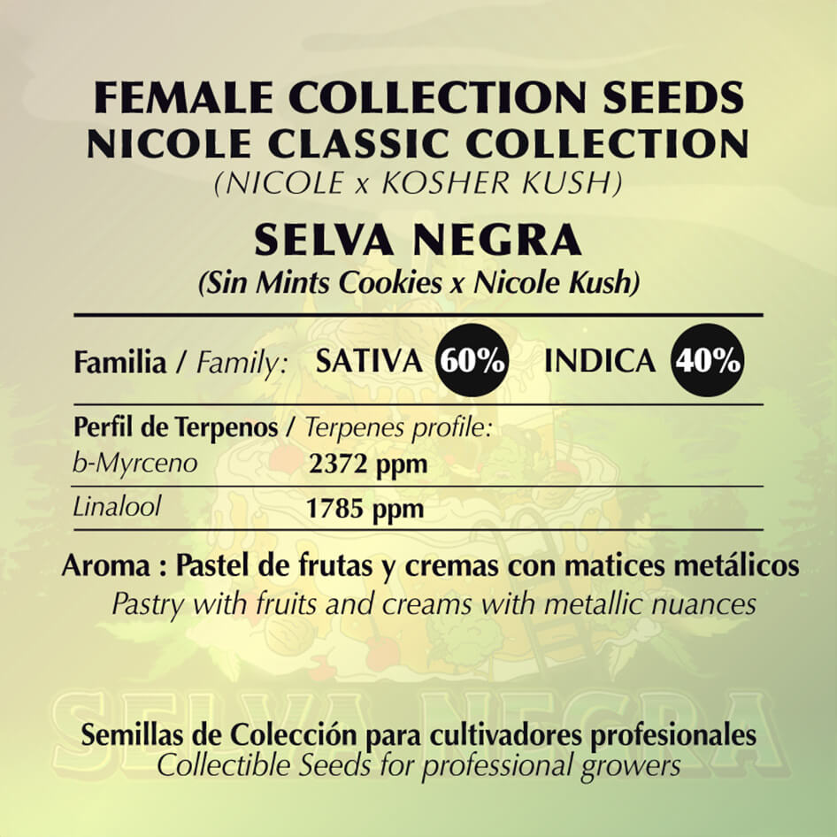 Selva Negra