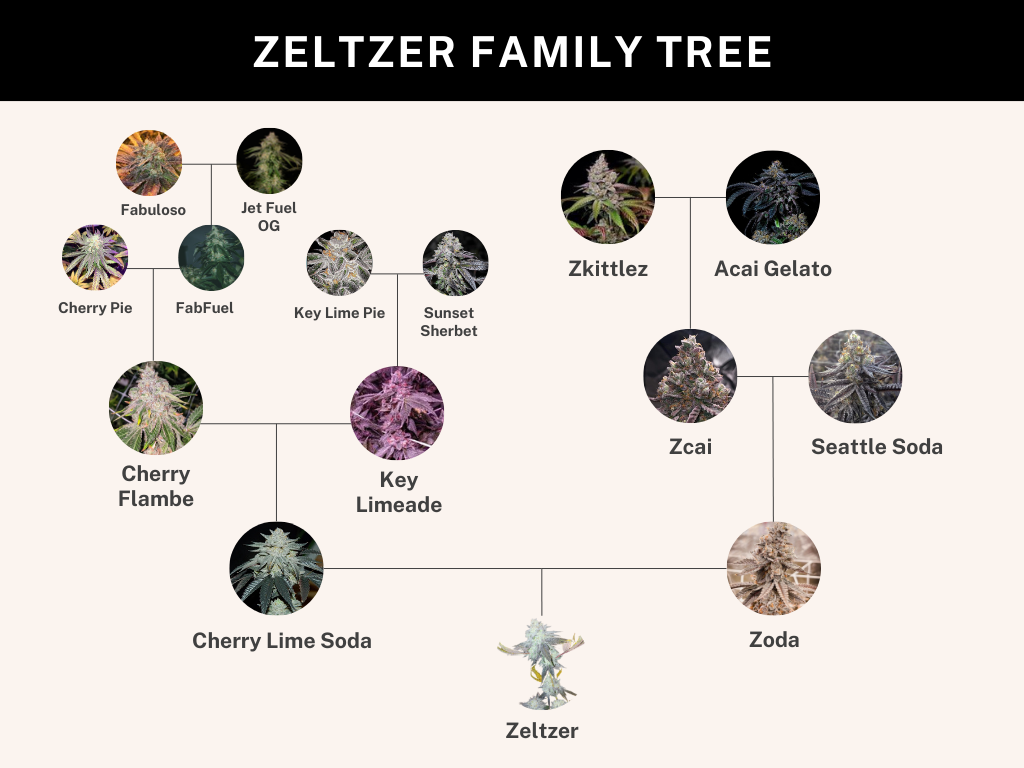 Zelter