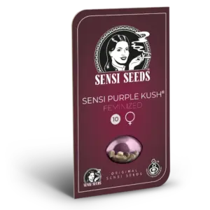 Sensi Purple Kush