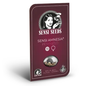 Sensi Amnesia