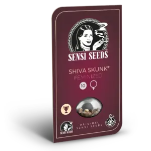 Shiva Skunk