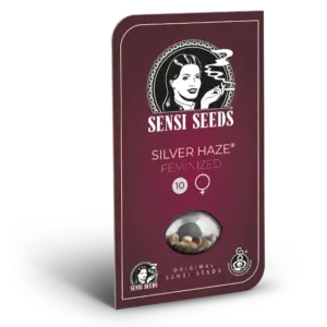 Silver Haze