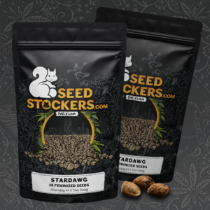 Stardawg