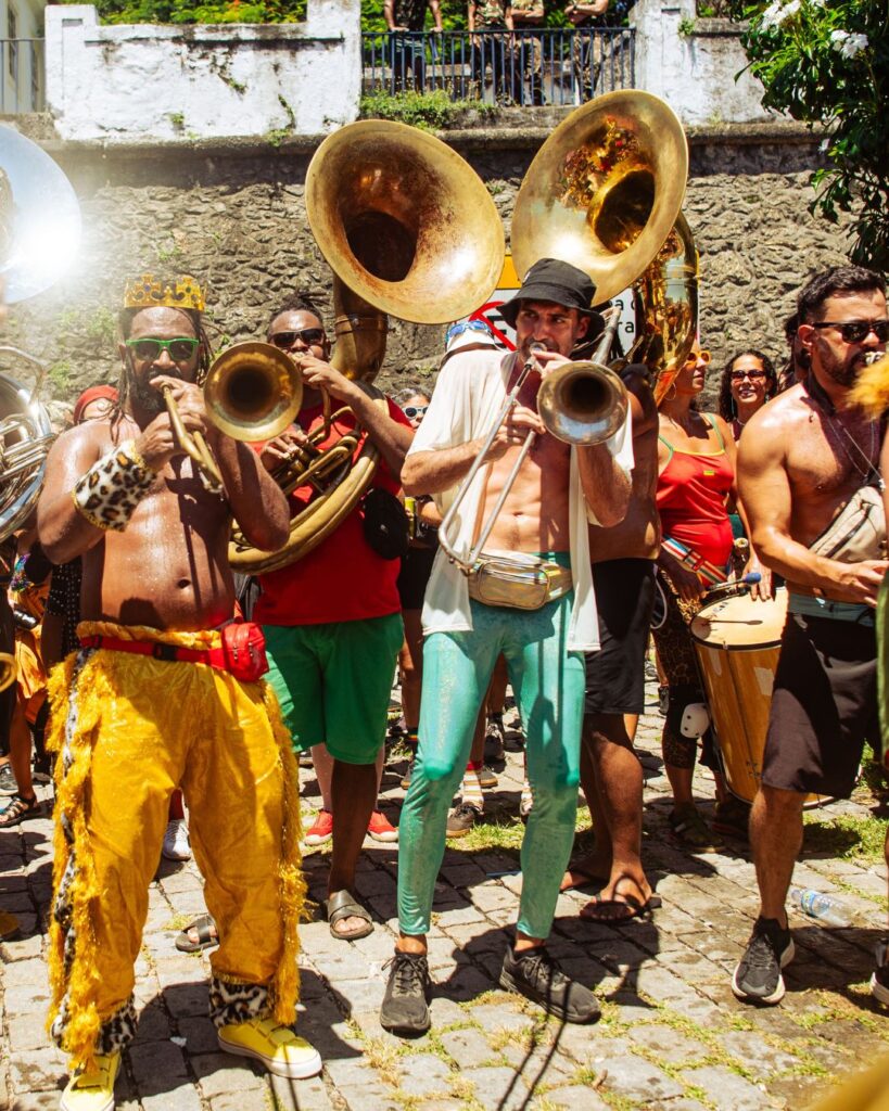 Imagem 4 - Flora Urbana no Carnaval
