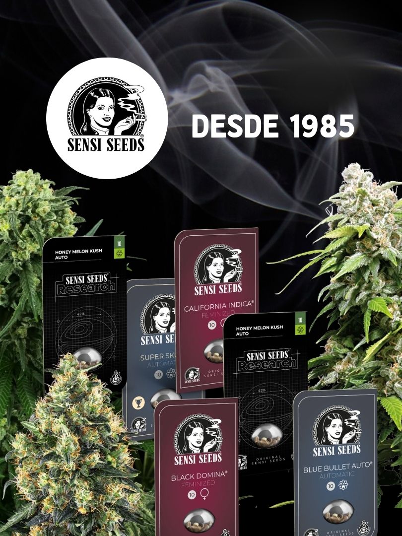 SENSI SEEDS