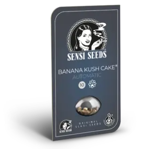 Banana Kush Cake Auto