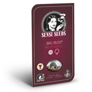Big Bud