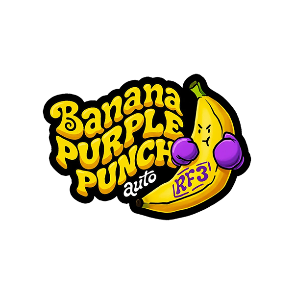 Banana Purple Punch Auto RF3