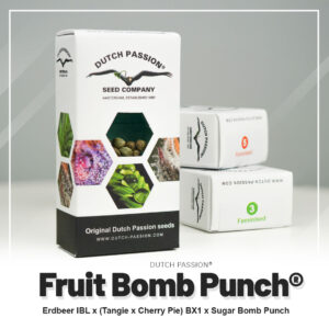 Fruit Bomb Punch®