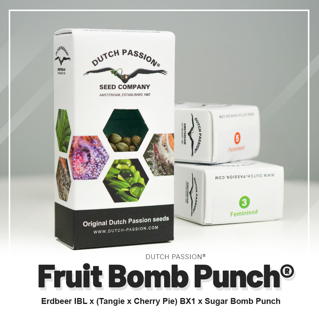 Fruit Bomb Punch®
