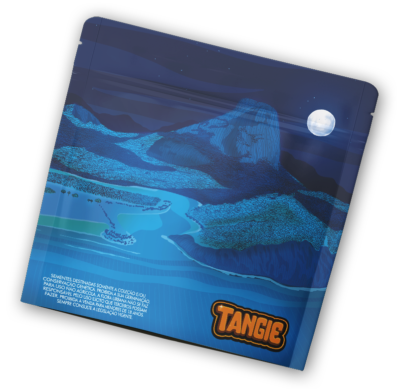 Tangie