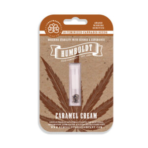 Caramel Cream