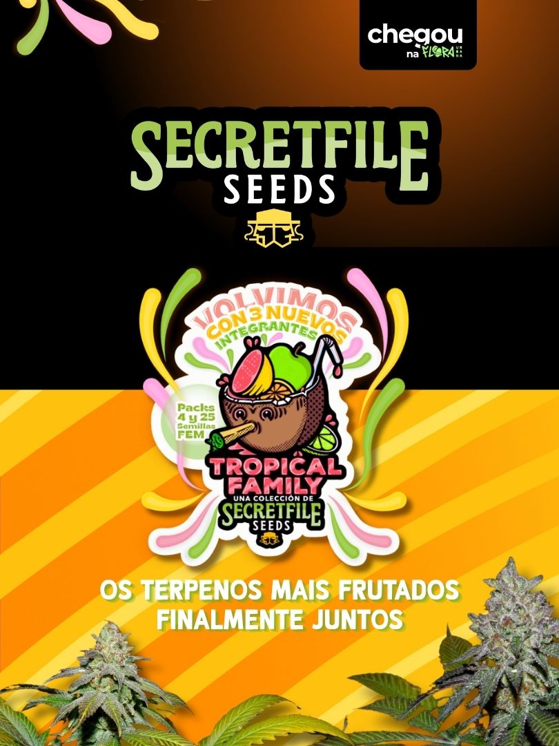 SECRETFILE SEEDS