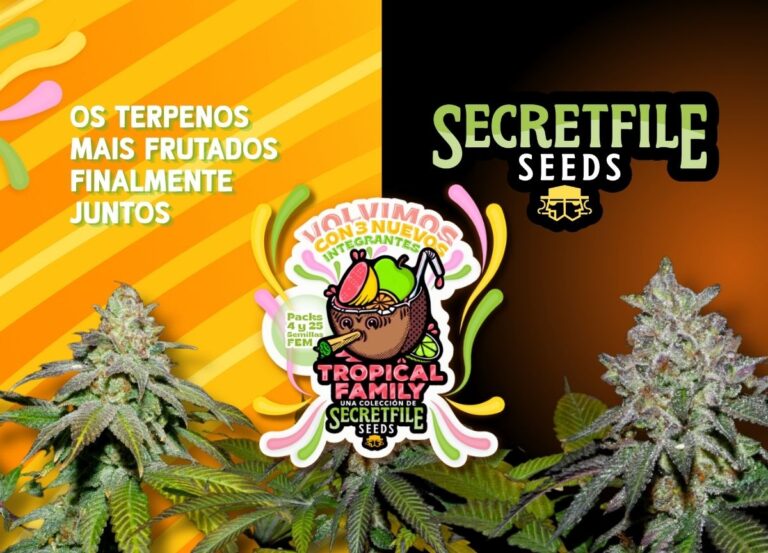 SecretFile Seeds