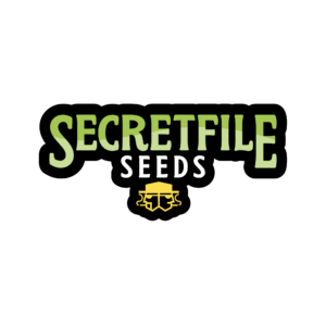 Secret File